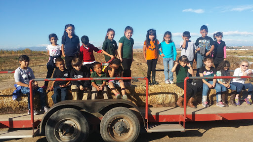 Produce Market «Berry Patch Farms», reviews and photos, 13785 Potomac St, Brighton, CO 80601, USA