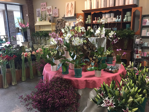 Florist «Forestwood Florist», reviews and photos, 11818 Inwood Rd, Dallas, TX 75244, USA