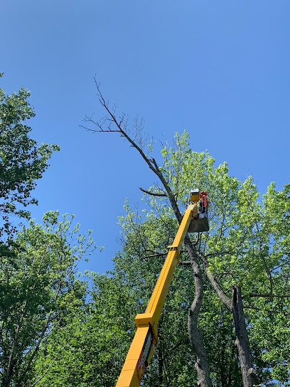 855TREEMAN