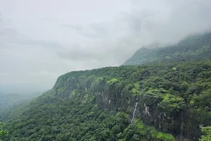 Bhimashankar Forest Reserve image