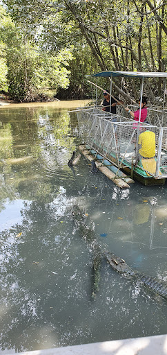 Top 20 cửa hàng play Huyện Cần Giờ Hồ Chí Minh 2022