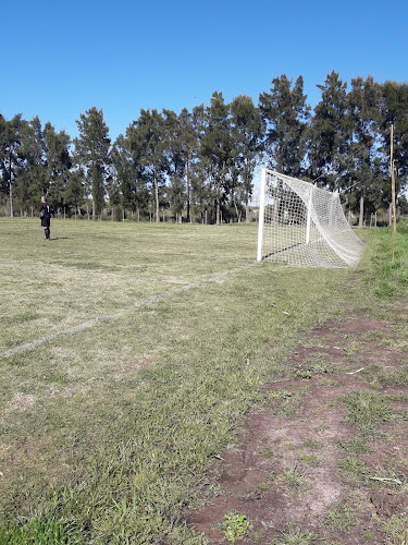 Sandy Futbol