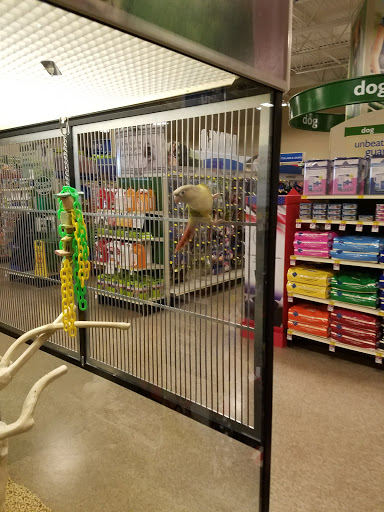 Pet Supply Store «PetSmart», reviews and photos, 7260 Orchard Lake Rd, West Bloomfield Township, MI 48322, USA