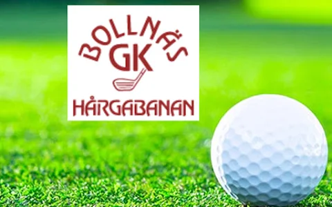 Bollnäs Golf Club image