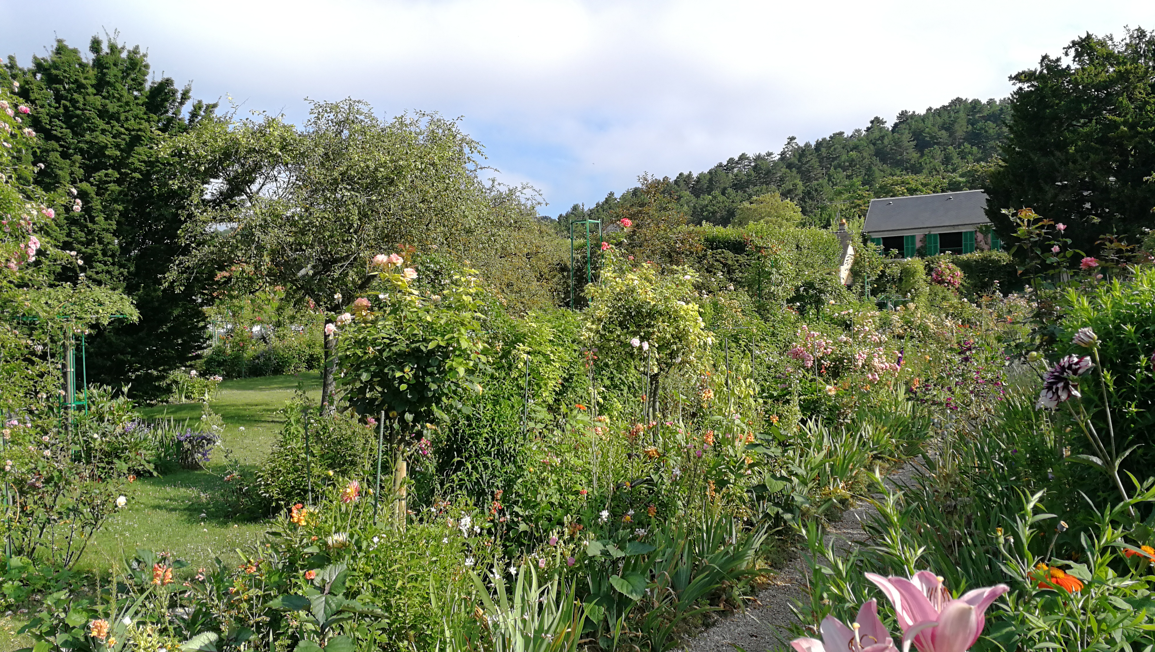 Photo n° 1 de l'avis de barbe.e fait le 10/07/2018 à 17:25