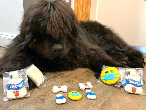 Pet Supply Store «Pet Barn Inc», reviews and photos, 167 Jennifer Rd # G, Annapolis, MD 21401, USA