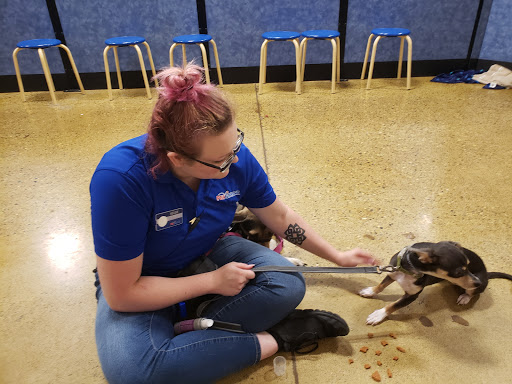 Pet Supply Store «PetSmart», reviews and photos, 3500 IN-38, Lafayette, IN 47905, USA