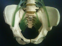 Southwest Therapy Specialists, PC - Photo 5 - Car repair in Phoenix, AZ, Phoenix