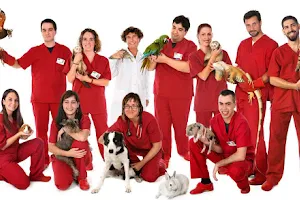 Zoològic Veterinaris image