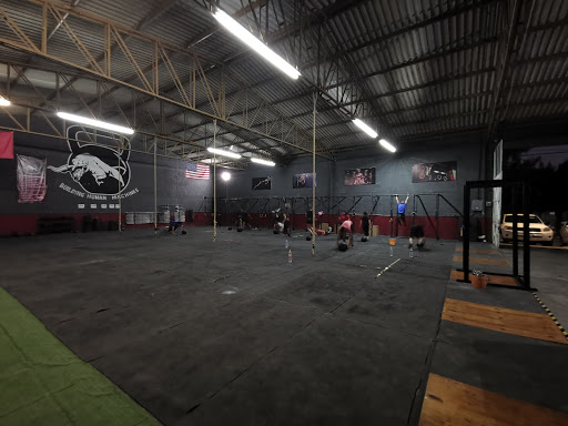 Bull Crossfit