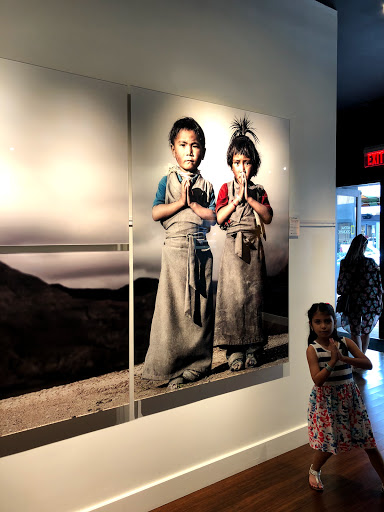 Art Gallery «National Geographic | Fine Art Galleries», reviews and photos, 607 E Las Olas Blvd, Fort Lauderdale, FL 33301, USA