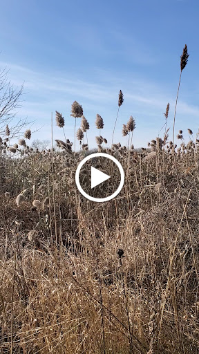 Nature Preserve «Oakhurst Forest Preserve», reviews and photos, 1680 5th Ave, Aurora, IL 60504, USA