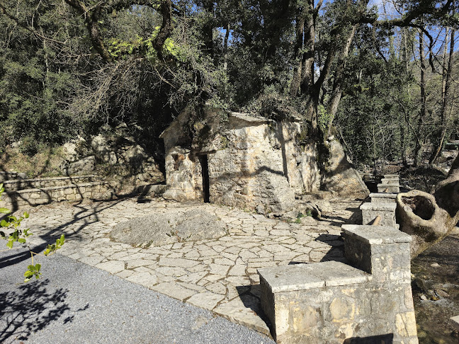 Αγία Θεοδώρα Βάστας (προσκύνημα) - Μεγαλόπολη