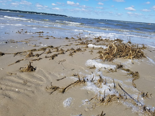 Lighthouse «Harbour Town Lighthouse», reviews and photos, 149 Lighthouse Rd, Hilton Head Island, SC 29928, USA