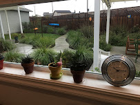 The Gardening Tutor - Photo 6 - Car repair in Santa Rosa, CA, Santa Rosa