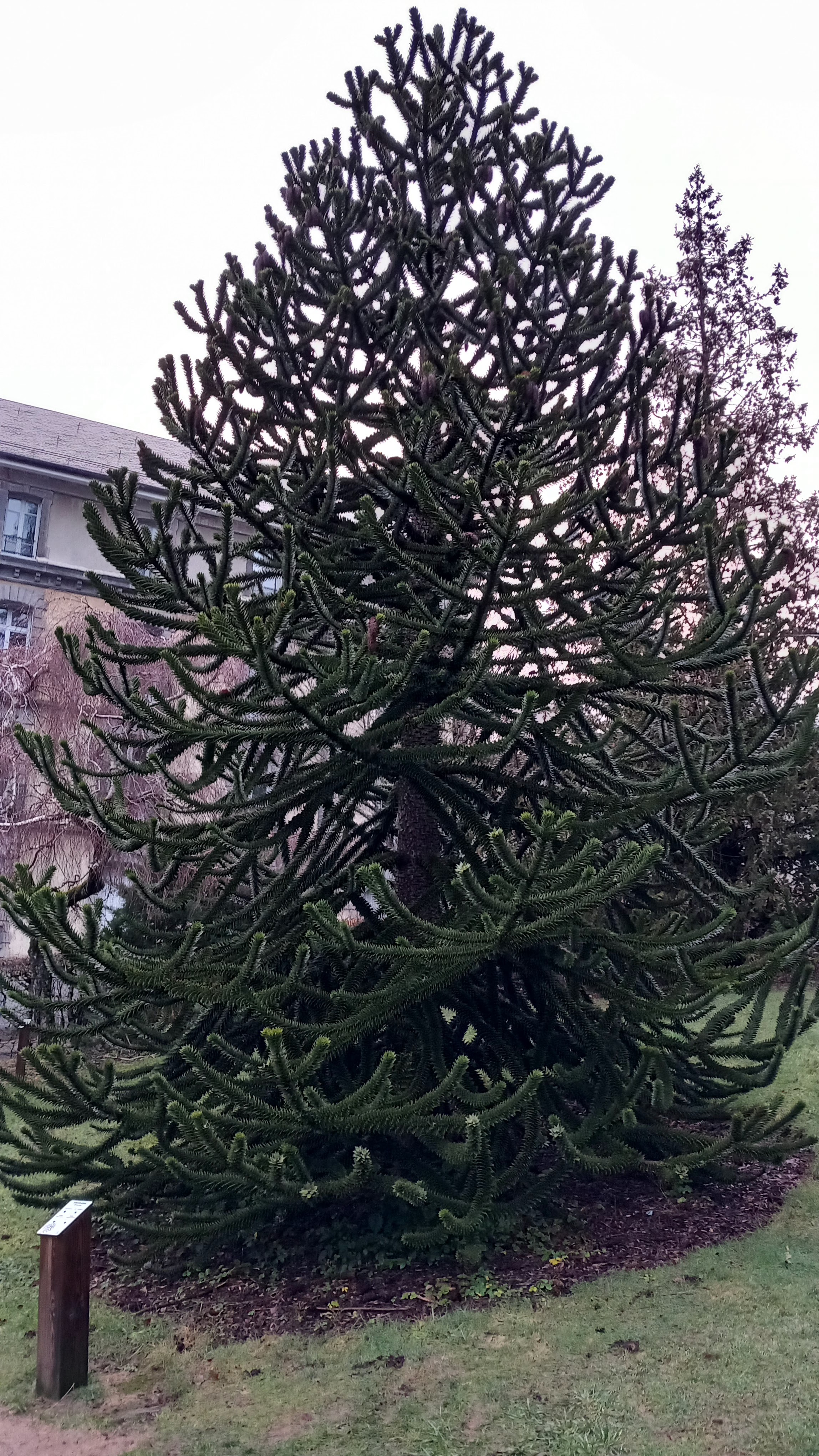 Photo n° 1 de l'avis de Françoise.a fait le 01/01/2024 à 16:33