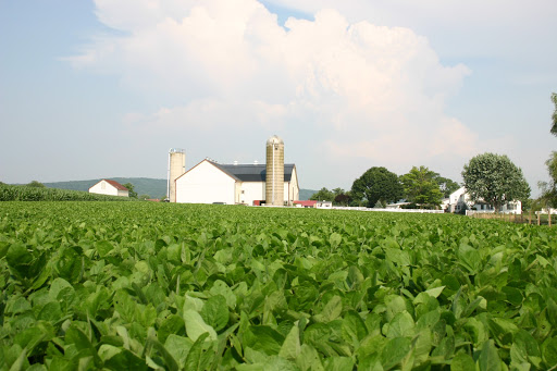 Tobacco Barn, 53 Elm St #2, Westfield, MA 01085, USA, 