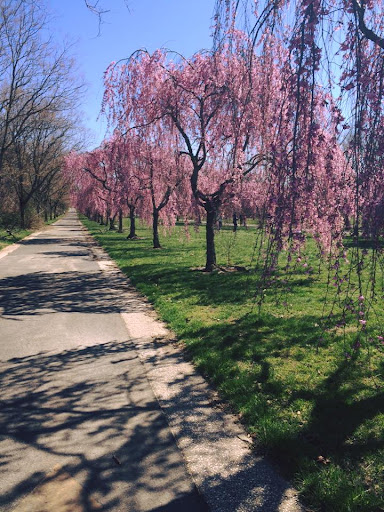 Park «Fairmount Park», reviews and photos, Reservoir Dr, Philadelphia, PA 19119, USA