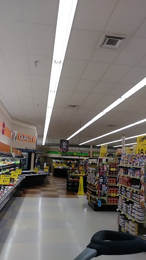 Grocery Store «Food Lion», reviews and photos, 215 Stadium St, Smyrna, DE 19977, USA