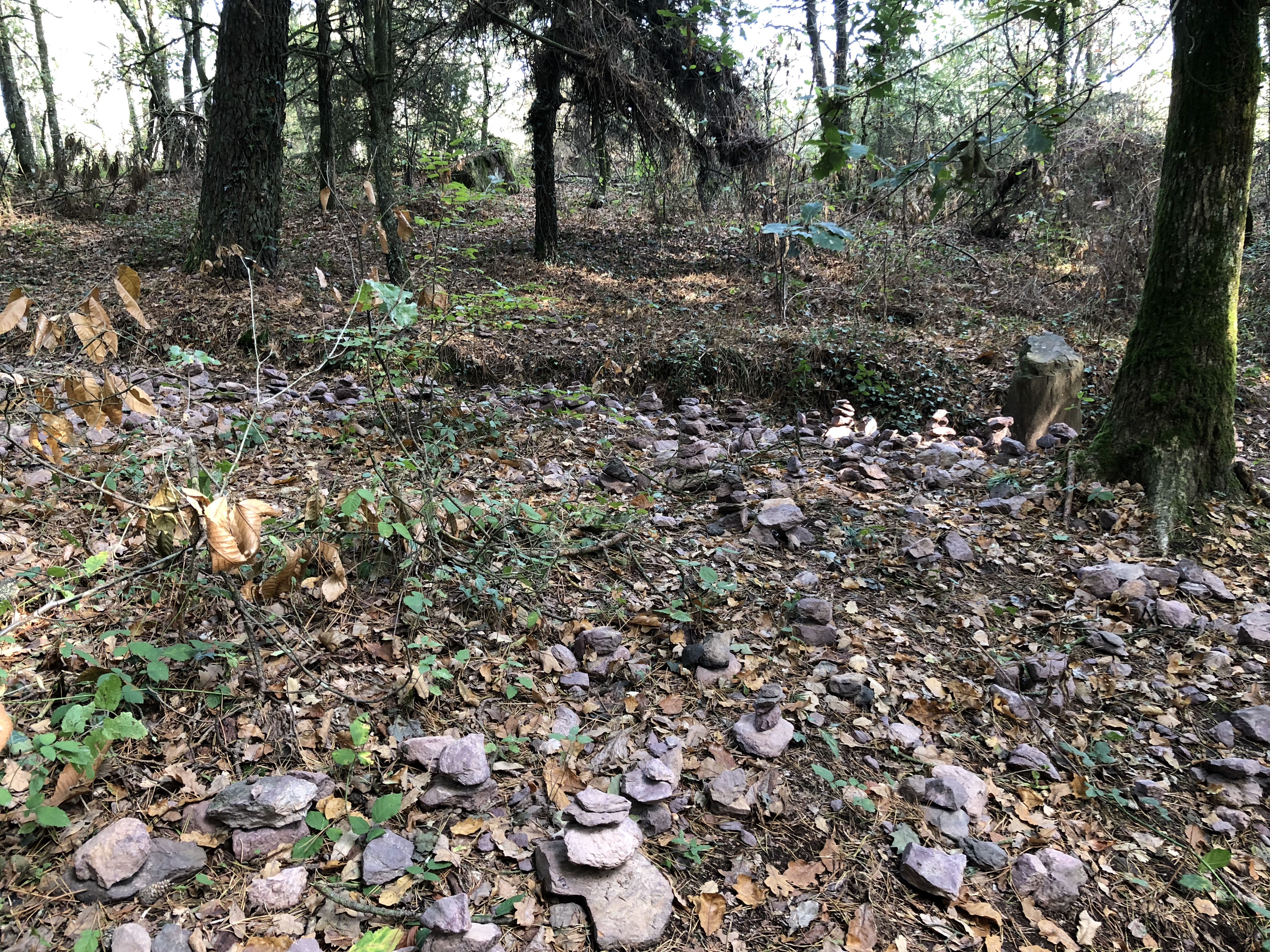 Photo n° 6 de l'avis de Olivier.I fait le 22/10/2018 à 11:46
