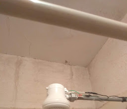 Tianguis of Olives photo