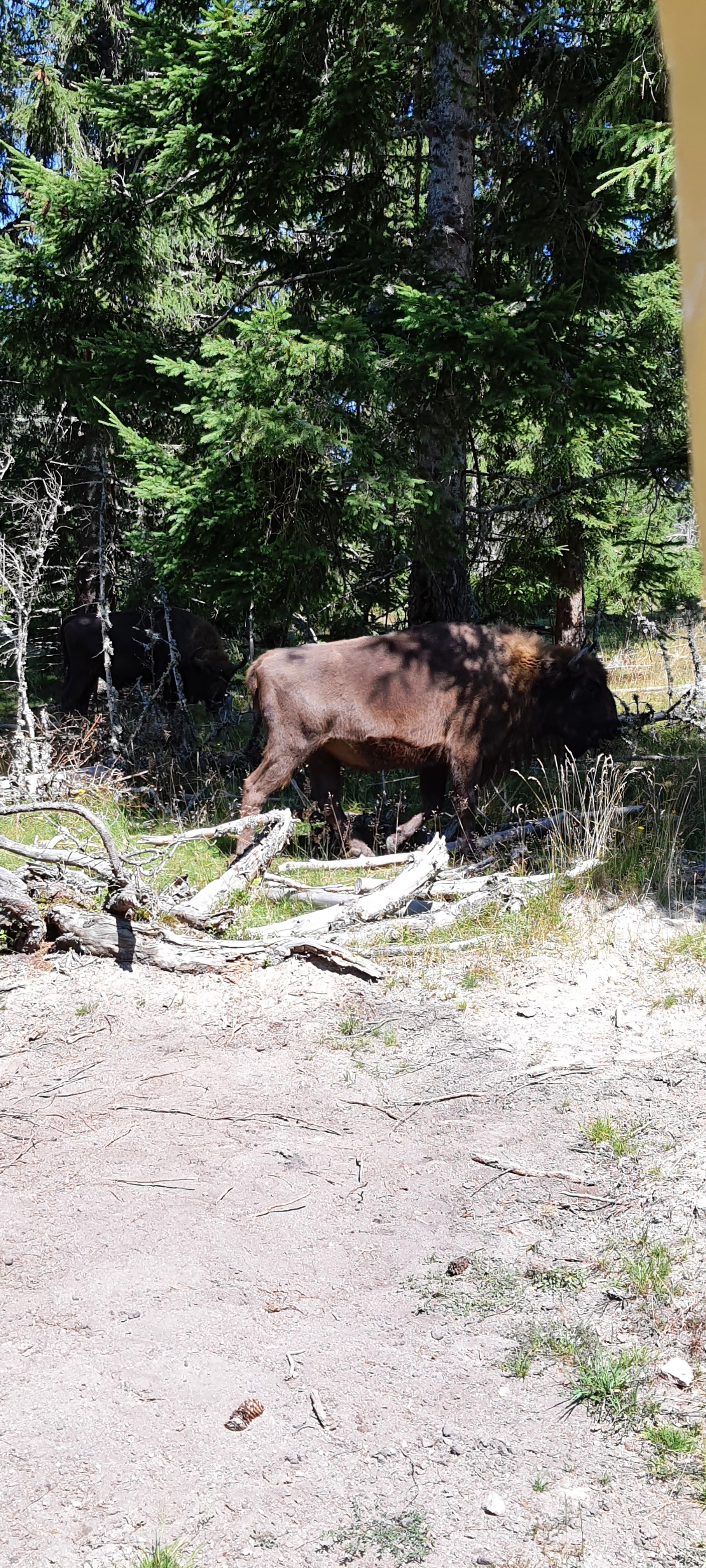 Photo n° 9 de l'avis de Benjamin.o fait le 22/08/2021 à 17:09