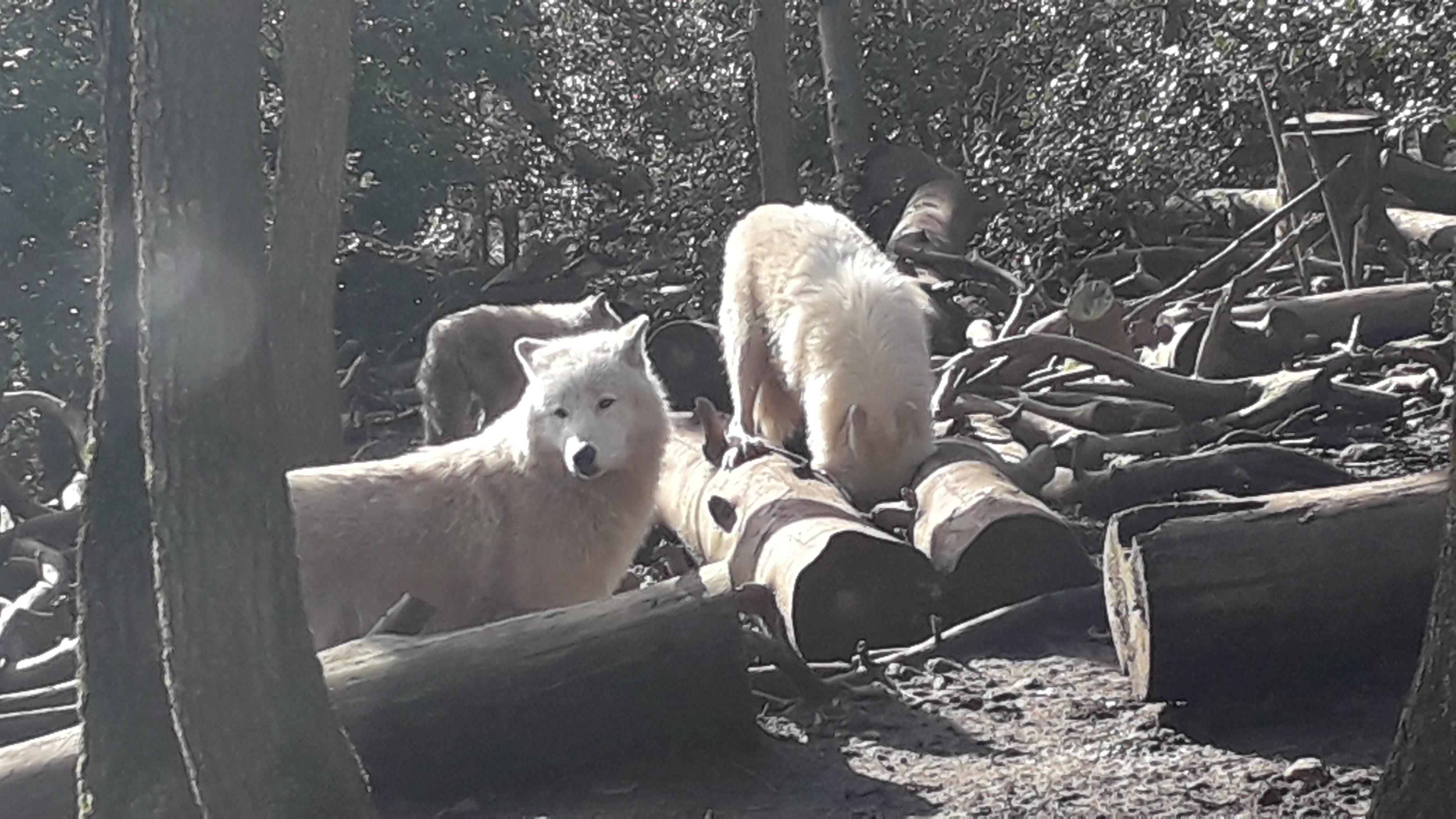 Photo n° 2 de l'avis de Alain.E fait le 07/03/2024 à 18:44