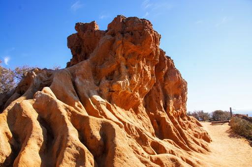 Nature Preserve «Torrey Pines State Reserve», reviews and photos, 12600 N Torrey Pines Rd, La Jolla, CA 92037, USA