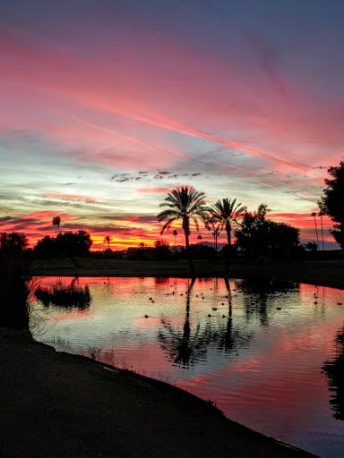 Golf Course «Palmbrook Country Club», reviews and photos, 9350 W Greenway Rd, Sun City, AZ 85351, USA