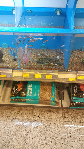 Pet Supply Store «PetSmart», reviews and photos, 11331 Causeway Blvd, Brandon, FL 33511, USA