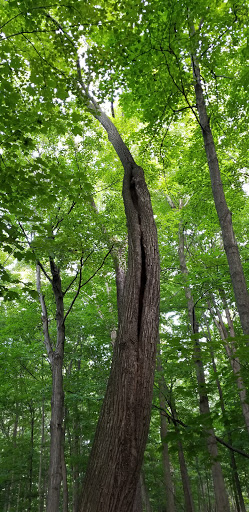 Nature Preserve «Stage Nature Center», reviews and photos, 6685 Coolidge Hwy, Troy, MI 48098, USA