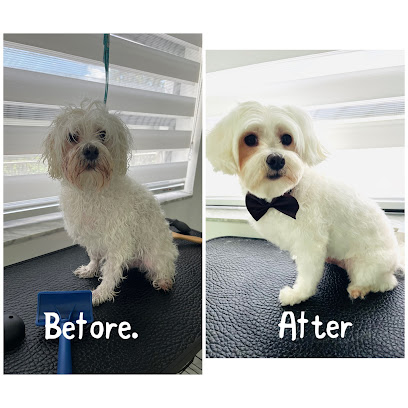 The sisters dog daycare & grooming