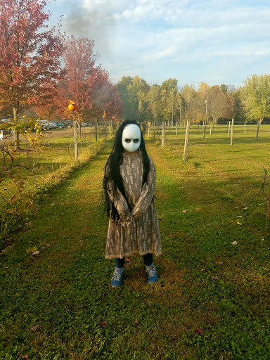 Winery «Greene Eagle Winery», reviews and photos, 2576 Davis Peck Rd, Cortland, OH 44410, USA