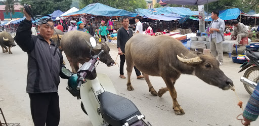 Top 20 các cửa hàng dkbike Huyện Xi Ma Cai Lào Cai 2022