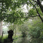 Photo n° 1 de l'avis de Elodie. fait le 19/08/2021 à 13:57 pour Embarcadère de la Venise Verte à Le Mazeau