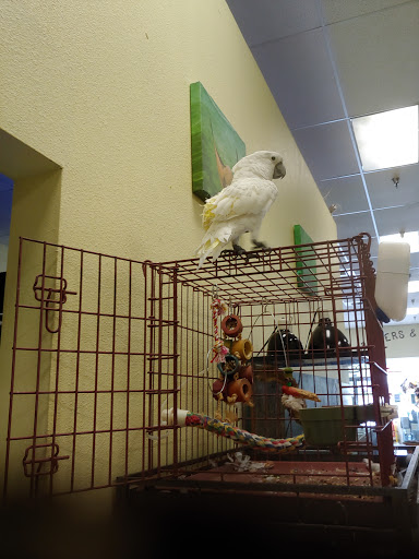 Pet Store «Critters & Co Pet Center», reviews and photos, 11042 WA-525, Clinton, WA 98236, USA