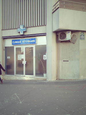 Clinique Vétérinaire à Paris
