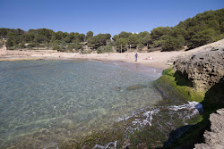 Foto av Cala Canyadell med hög nivå av renlighet