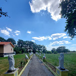 Photo n° 4 de l'avis de Zacchini.t fait le 31/07/2022 à 17:53 pour Tung Lam Linh Son à Rancon