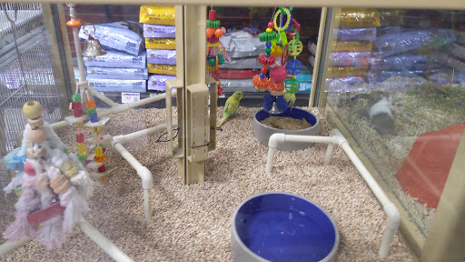 Pet Supply Store «Pet Supermarket, Inc.», reviews and photos, 1052 Peachtree Industrial Blvd, Suwanee, GA 30024, USA
