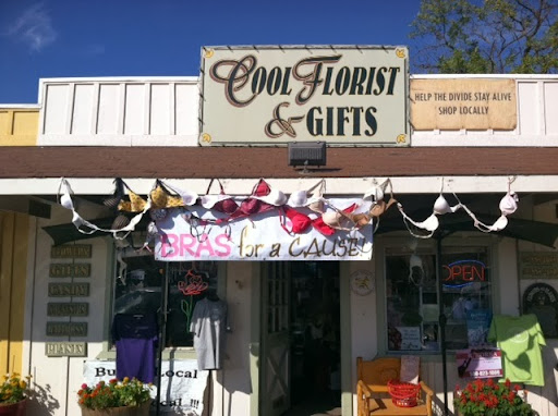 Florist «Cool Florist and Gifts», reviews and photos, 2968 CA-49 i, Cool, CA 95614, USA