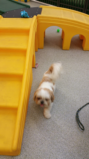 Pet Supply Store «Pet Food Express», reviews and photos, 9153 W Olympic Blvd, Beverly Hills, CA 90212, USA