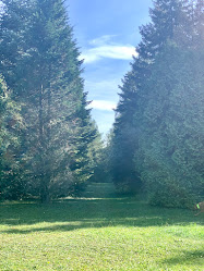 Budakeszi Arborétum parkoló