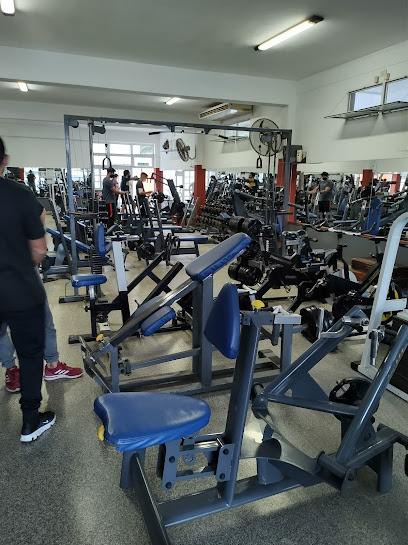 GIMNASIO SUMMUM