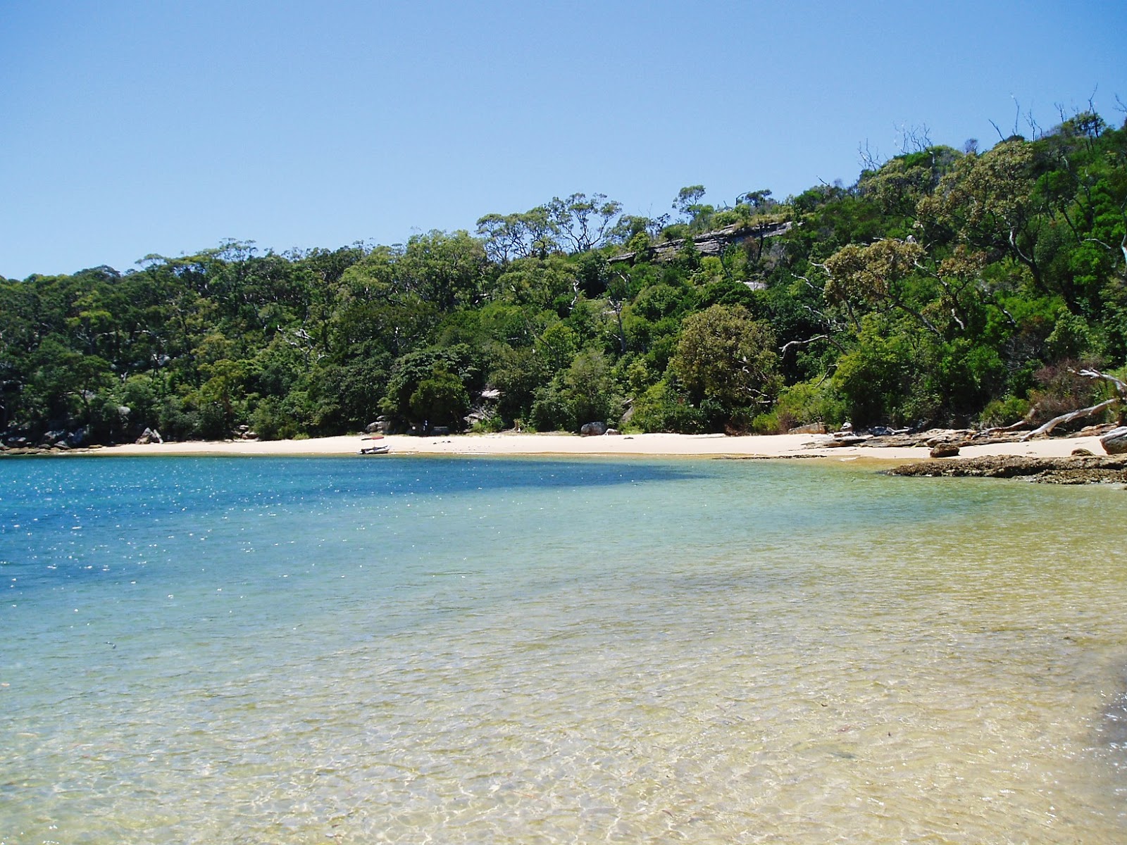 Collins Beach photo #8