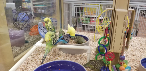 Pet Supply Store «Pet Supermarket», reviews and photos, 534 S Hunt Club Blvd, Apopka, FL 32703, USA
