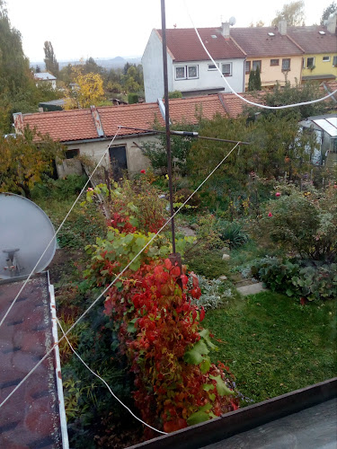 Recenze na Restaurace Nový Výčep v Ústí nad Labem - Restaurace