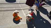 Earth Pups - Photo 5 - Car repair in Chicago, IL, Chicago
