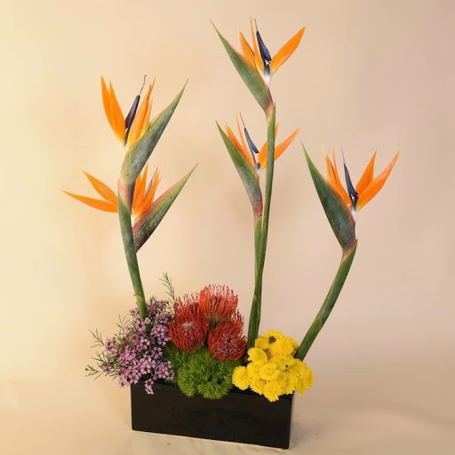 Florist «McShan Florist, Inc.», reviews and photos, 10311 Garland Rd, Dallas, TX 75218, USA