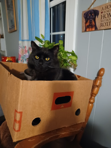 Pet Supply Store «Care-A-Lot Pet Supply Indian River», reviews and photos, 5457 Indian River Rd, Virginia Beach, VA 23464, USA